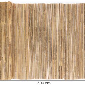 10 335.jpg