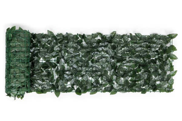 2 1550.jpg