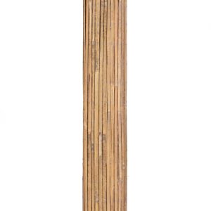 2 1560.jpg
