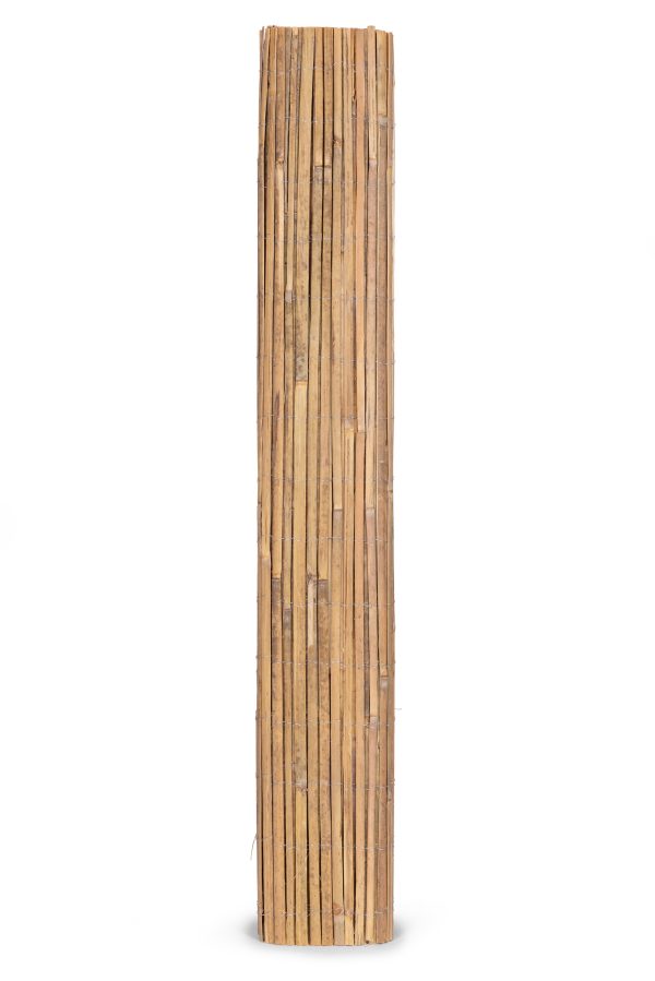 2 1560.jpg