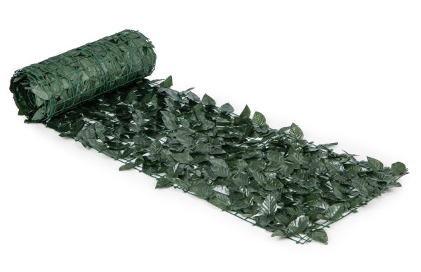 3 1545.jpg