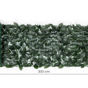 8 559.jpg